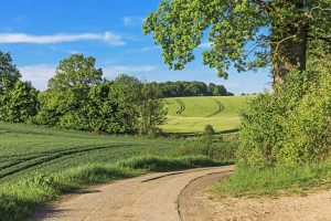 Feldweg in der Holsteinischen Schweiz - Mönchsweg