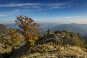 Blick vom Belchen ins Kleine Wiesental - Westweg