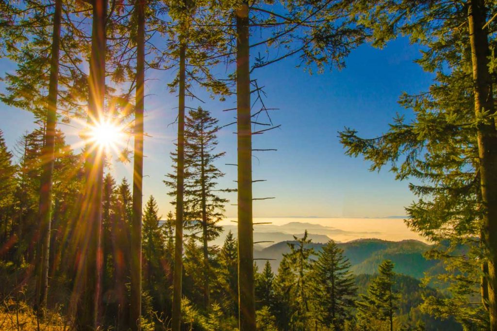 Schwarzwald Panorama - Westweg