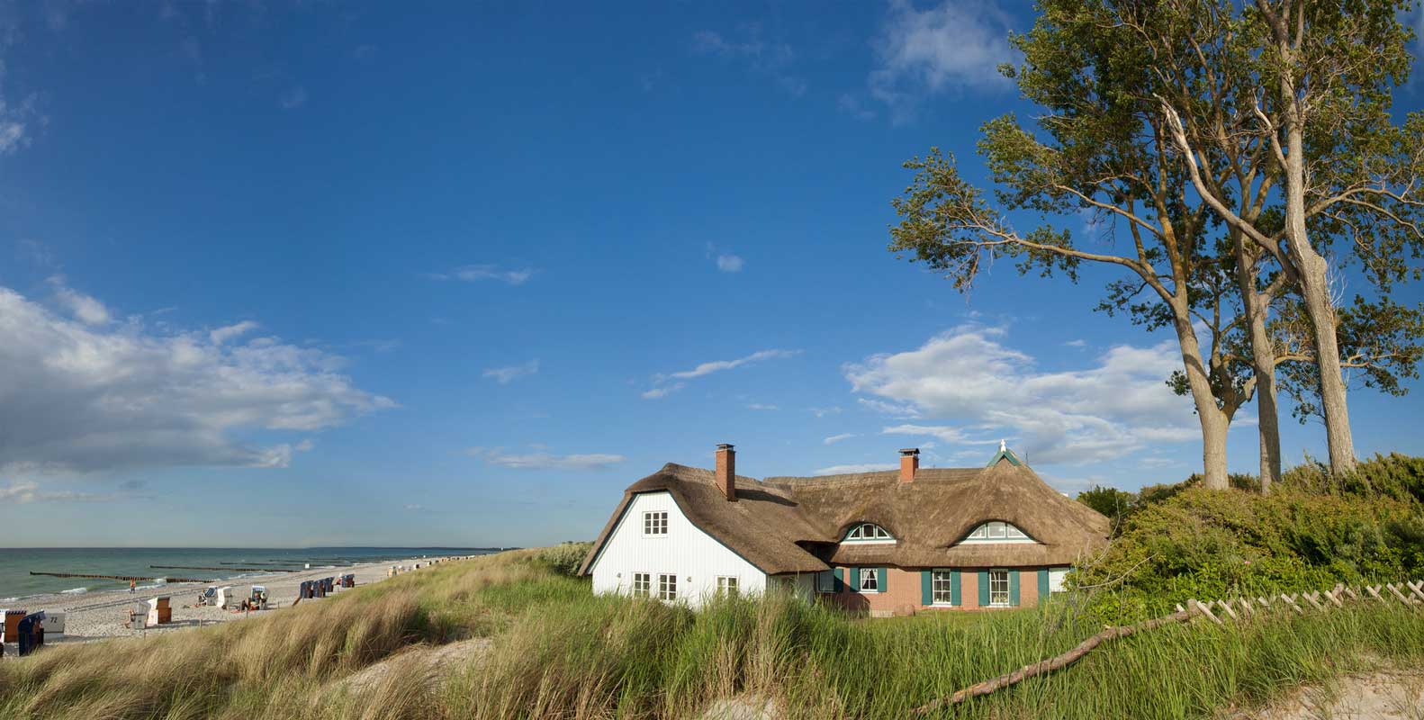 Darß-Zingst: Traumstrände und Urwälder