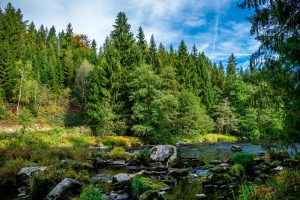 Im Bayerischen Wald - Goldsteig - Trans Bayerwald