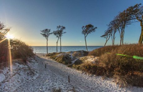 Strand an der Ostsee Strand an der Ostsee - Genuss- und Reisetipps