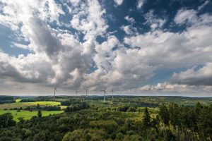 Blick vom Aussichtsturm auf dem Gräbersberg - Westerwald-Steig