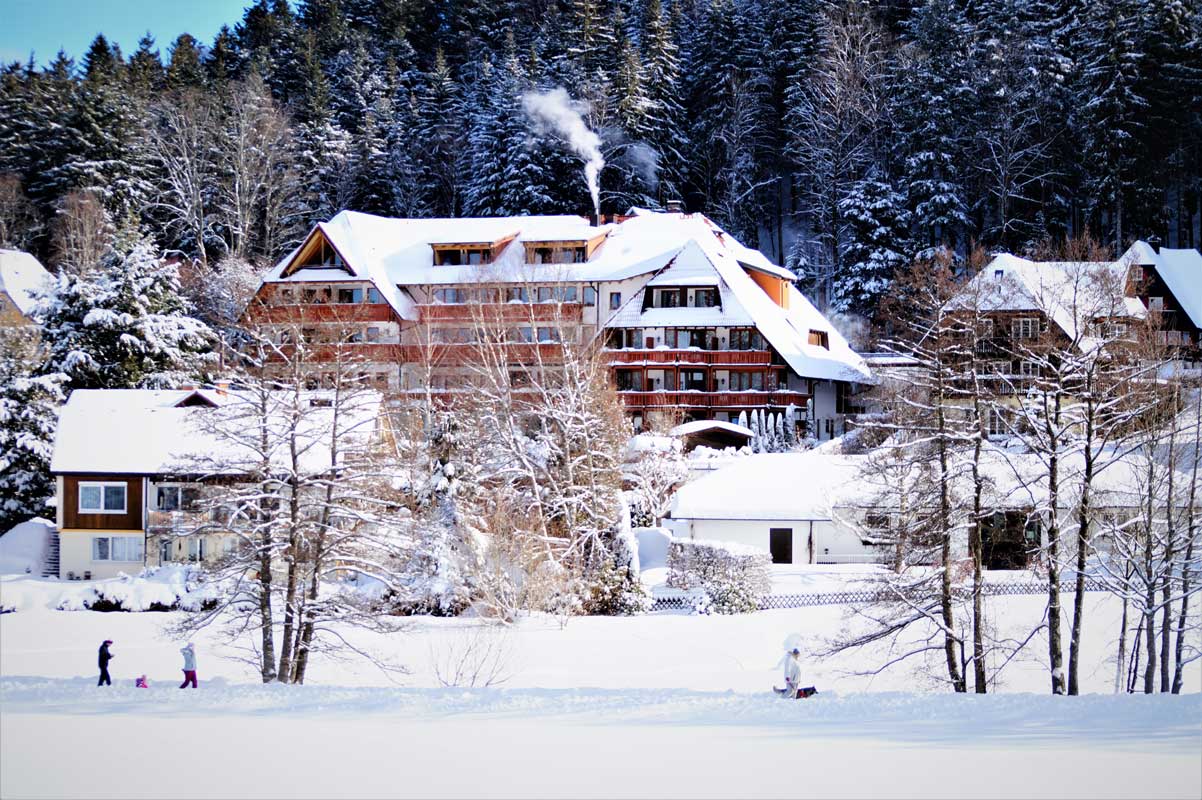 Erfurths Bergfried, Hinterzarten