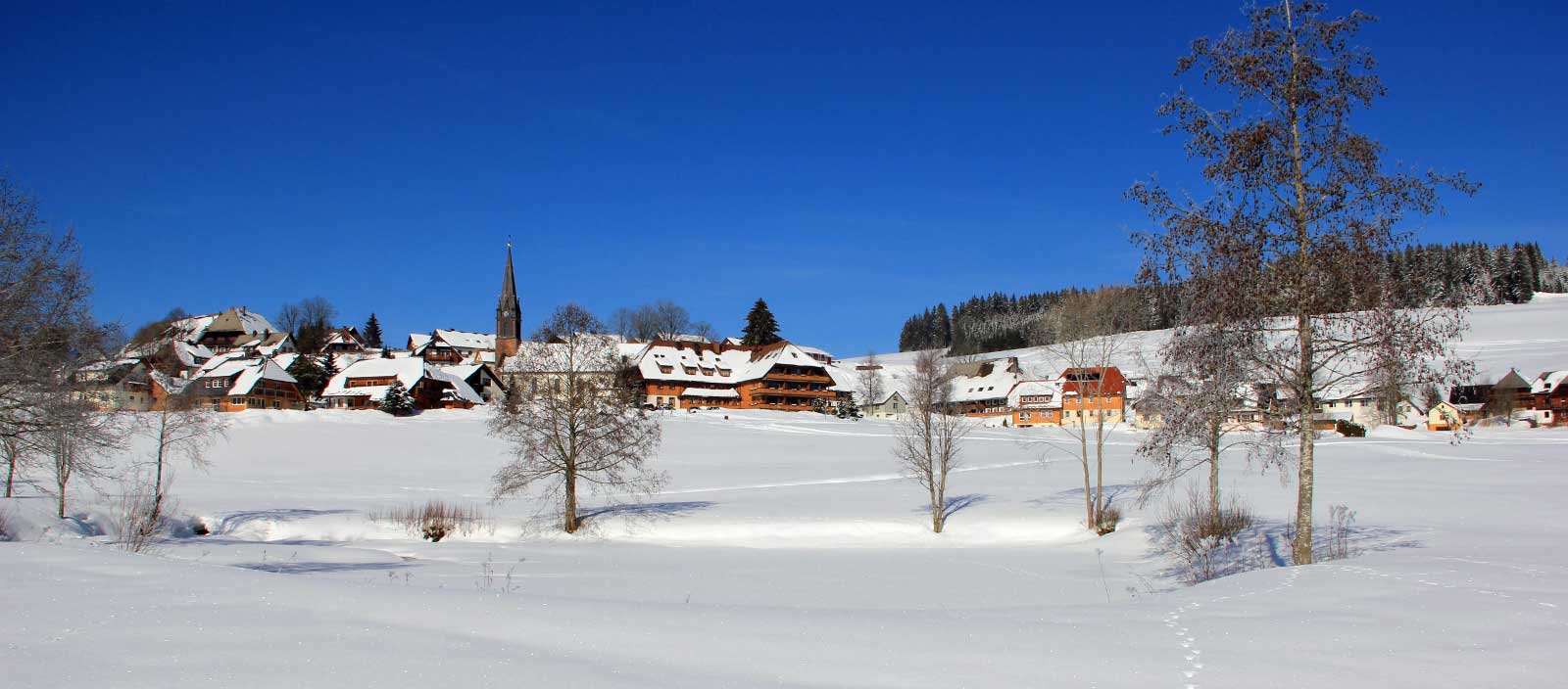 Gasthof Sonne-Post, Titisee-Neustadt
