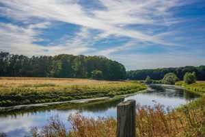 Emslandschaft bei Lingen - EmsRadweg