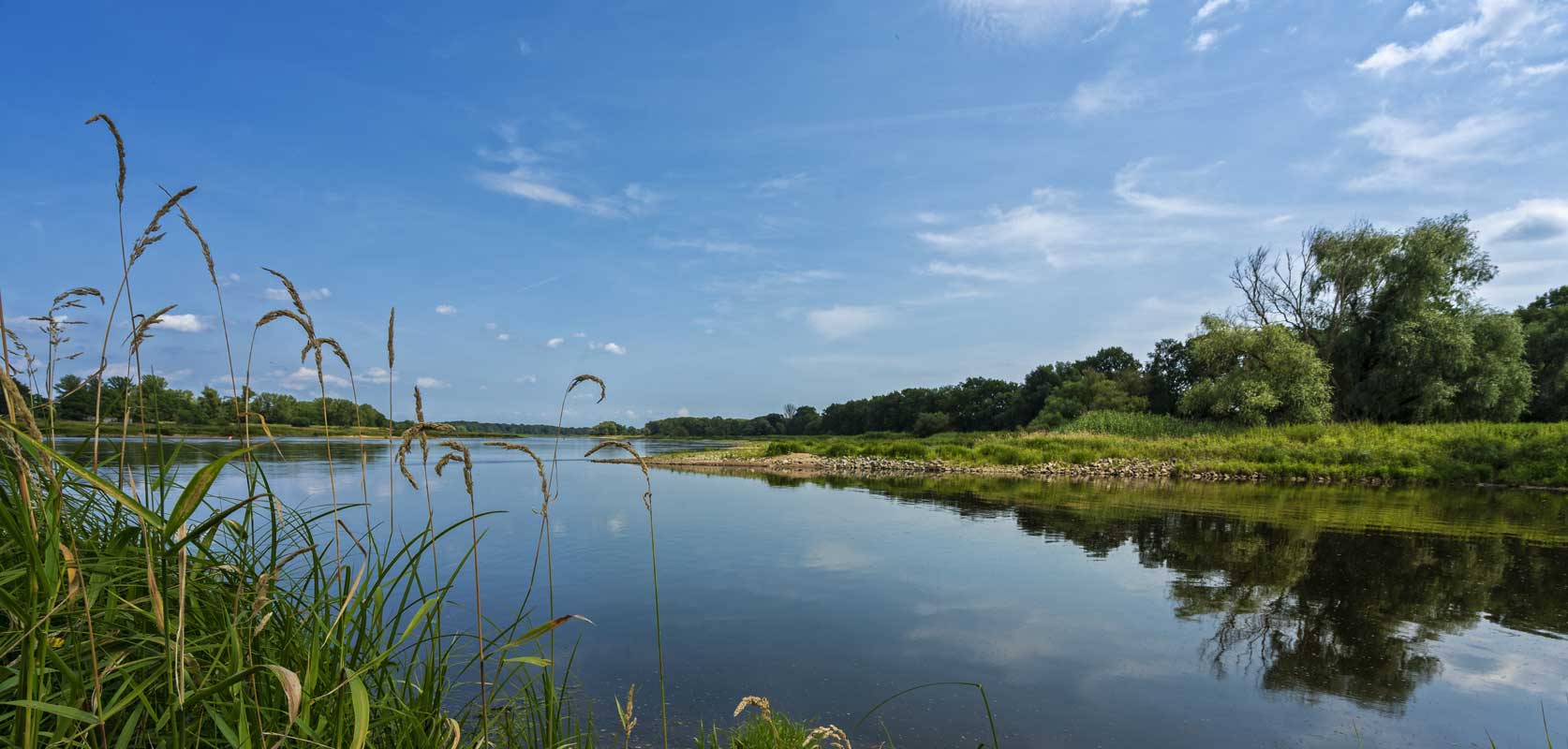 Oder in Brandenburg - Oder-Neiße-Radweg