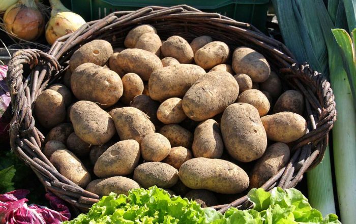 Kartoffeln im Korb - Schwäbische Kartoffeltour