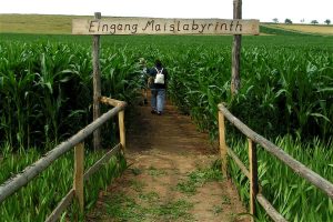 Maislabyrinth am Edersee, Eingang