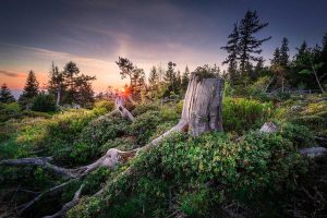 Nordschwarzwald Sonnenuntergang - Ostweg