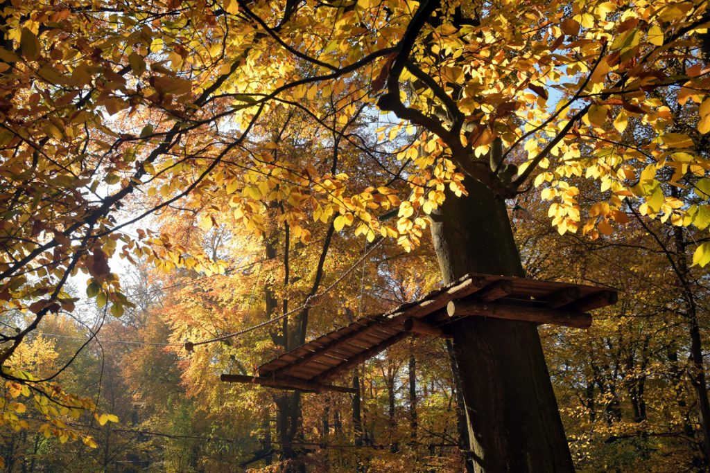Waldhochseilgarten