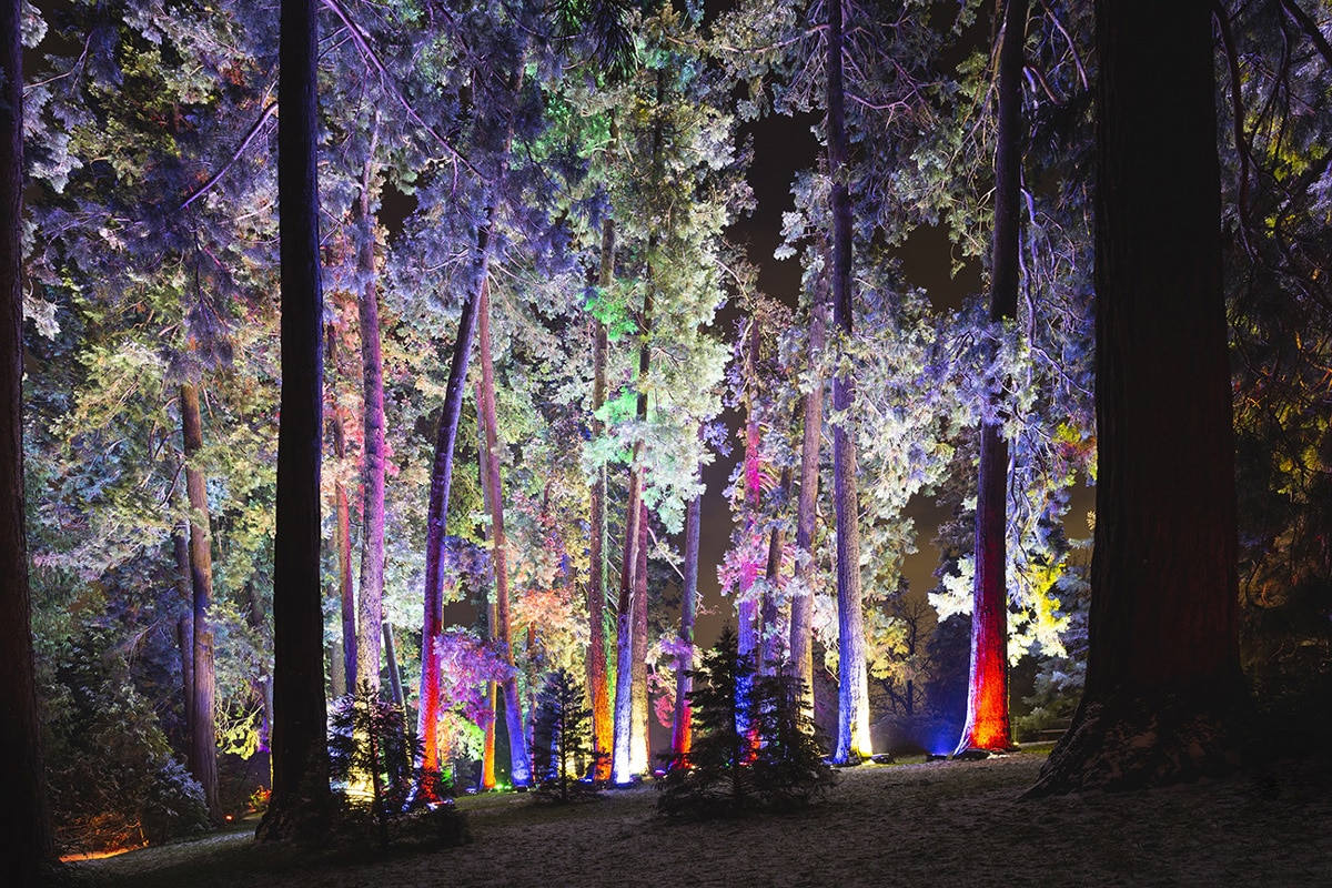 Christmas Garden Stuttgart, Verzauberte Riesen