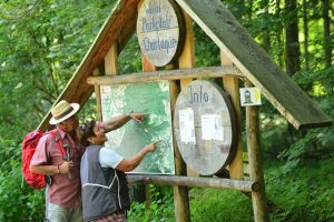 Wandern am Eppinger Linienweg