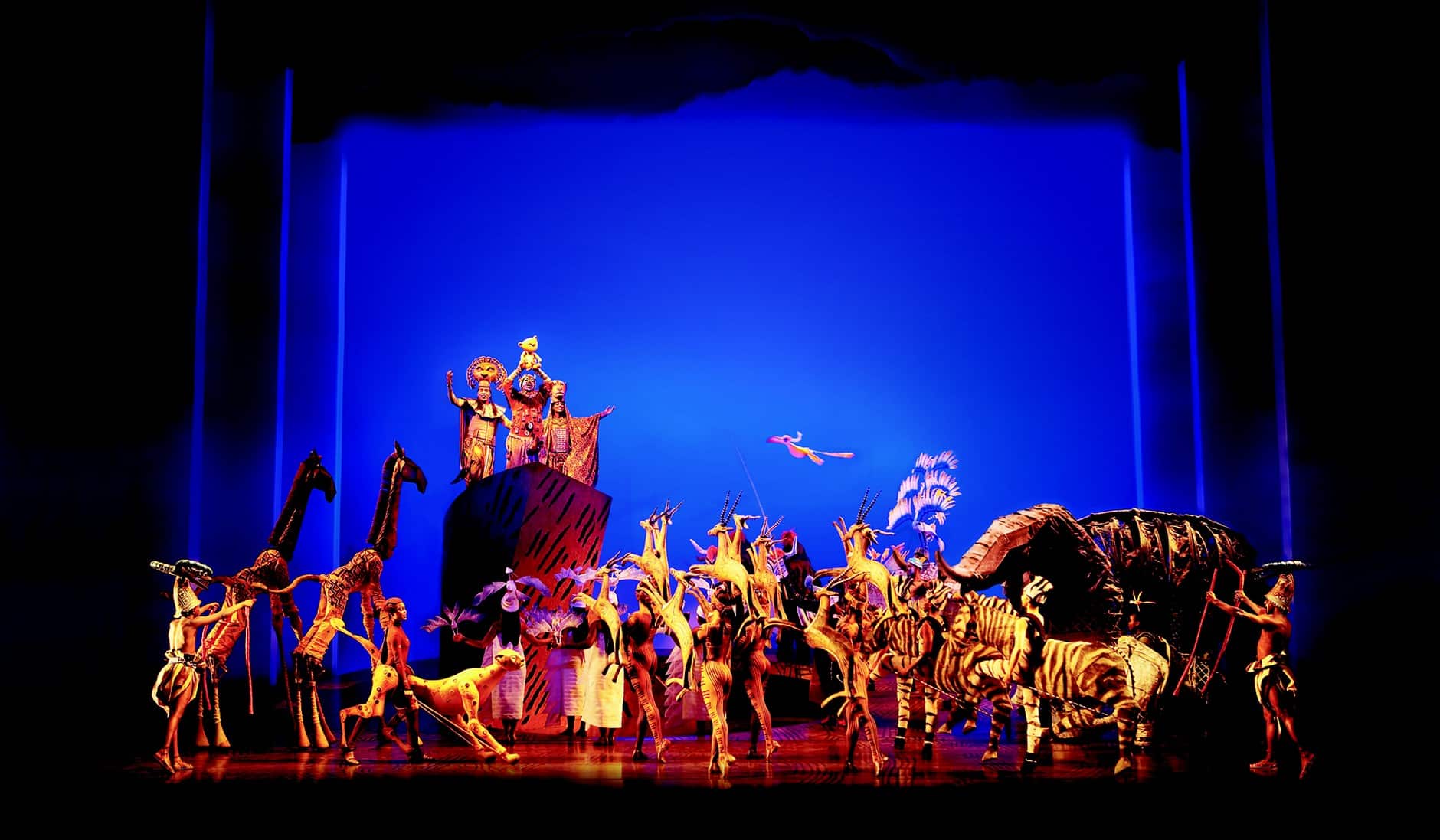 König der Löwen Musical - Musicalstädte