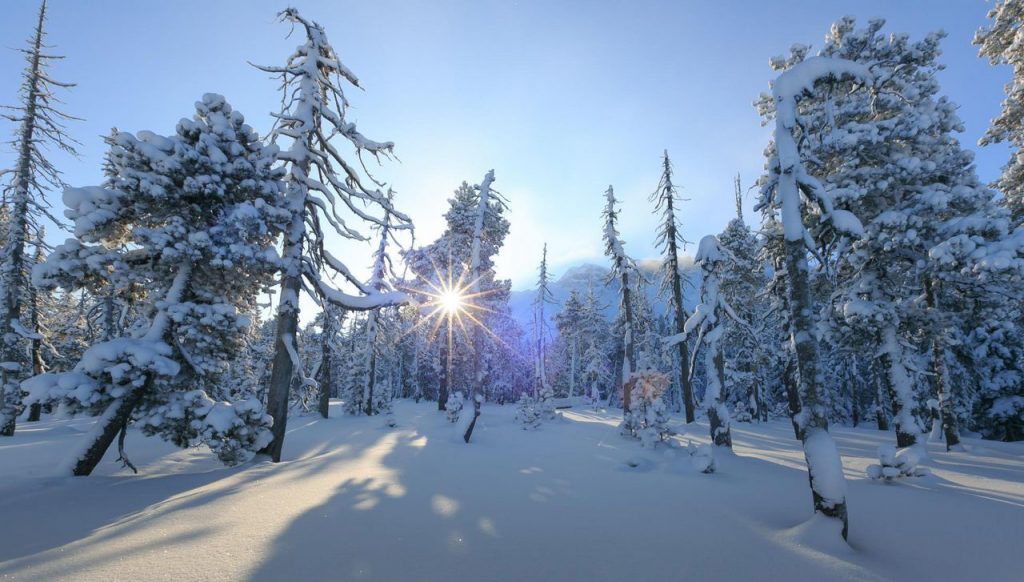 Winterstimmung im Gebiet Salwideli - Loipen in der Schweiz