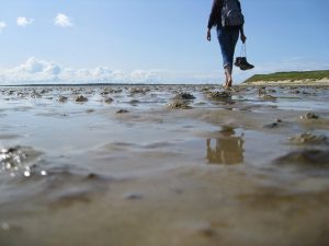 Spazieren Strand