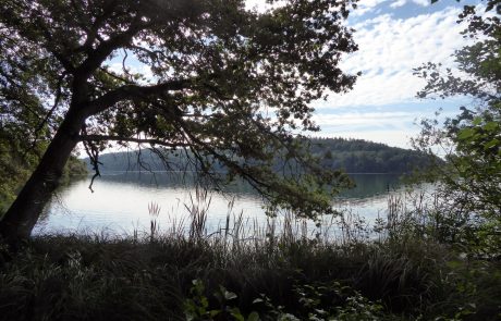 Blick über den Mindelsee Blick über den Mindelsee