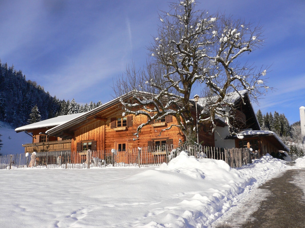 Alpe Dornach, Oberstdorf