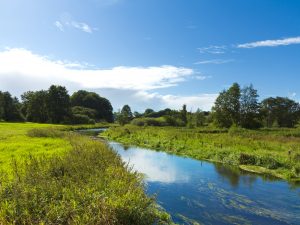 Eiderlandschaft bei Kiel - Eidertal-Wanderweg