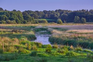 Landschaft im Eidertal - Eidertal-Wanderweg
