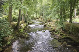 Die Enz im Kurpark Bad Wildbad - Enztal-Radweg