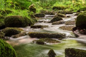 Saußbachklamm bei Waldkirchen