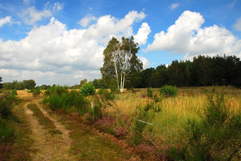 Döberitzer Heide