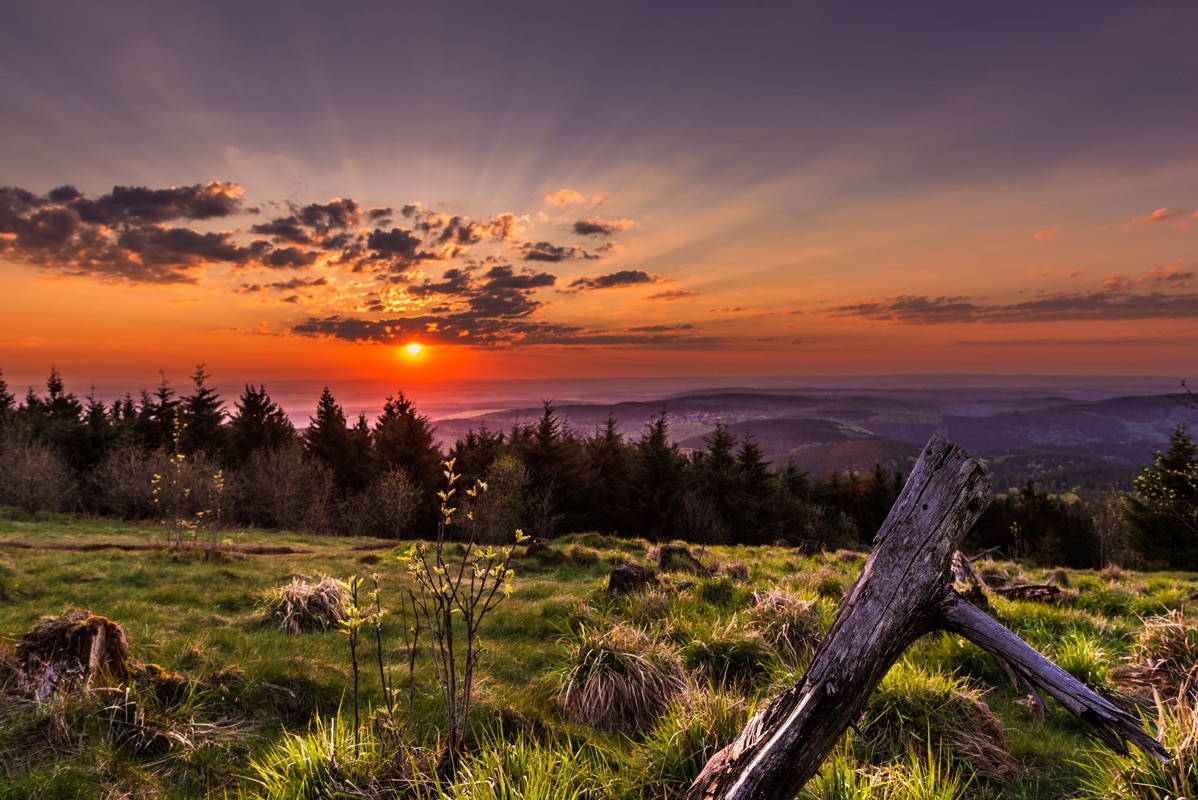 Blick auf den Feldberg im Taunus