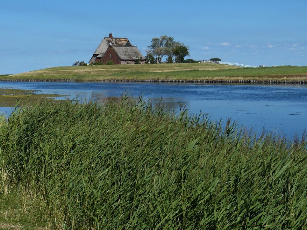 Hallig Hooge