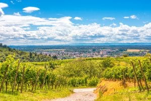 Ausblick über die Hessische Bergstraße