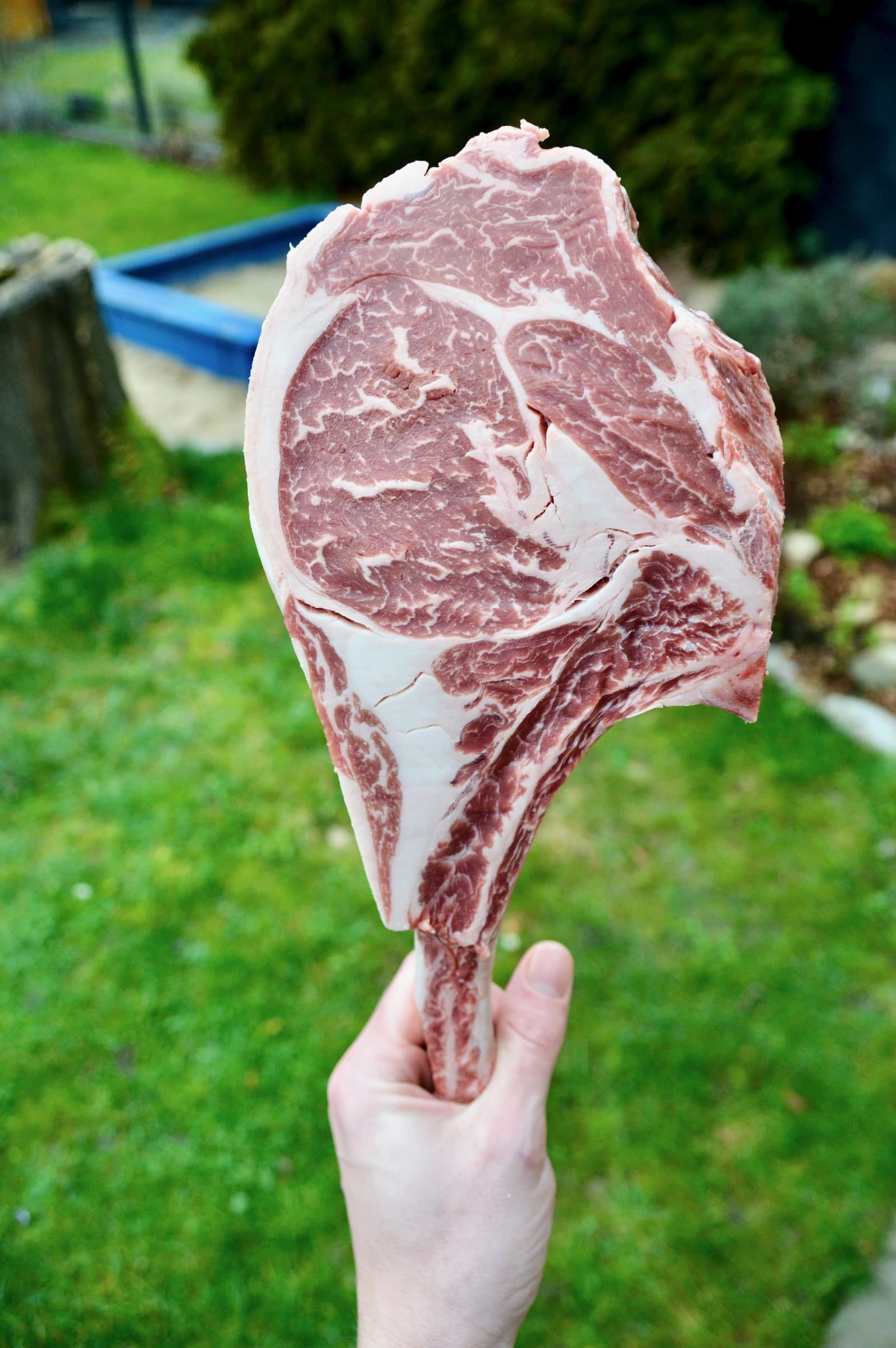 Wagyu, Tomahawk