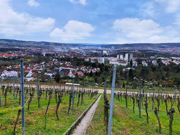 Ausblick vom Burgholzhof Ausblick vom Burgholzhof