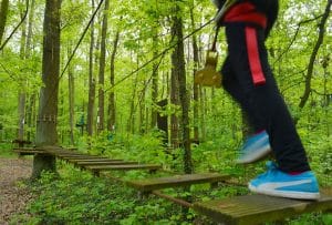 Klettern im Wald