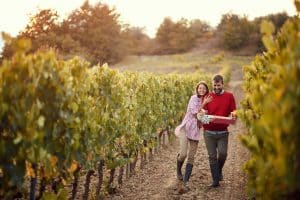Weinberge Paar
