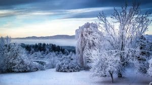 Winter in Kärnten
