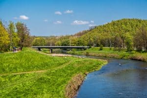 Zwickauer Mulde mit Paradiesbrücke - Mulderadweg