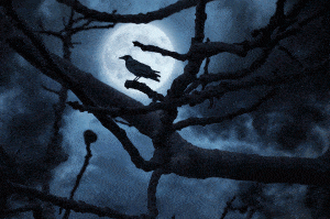Mystik Wald