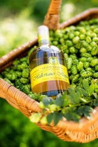 Hallertauer Hopfen