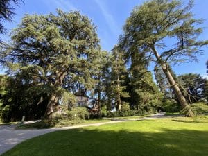 Arboretum auf der Insel Mainau