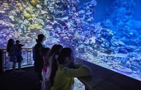 Panorama Great Barrier Reef Panorama Great Barrier Reef, Gasometer Pforzheim