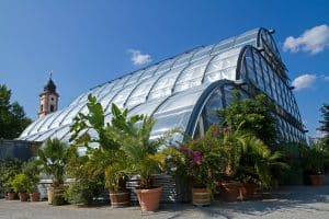 Palmenhaus auf der Insel Mainau