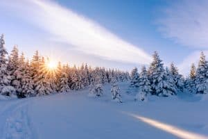 Winterlandschaft im Harz - Winterwanderwege im Harz