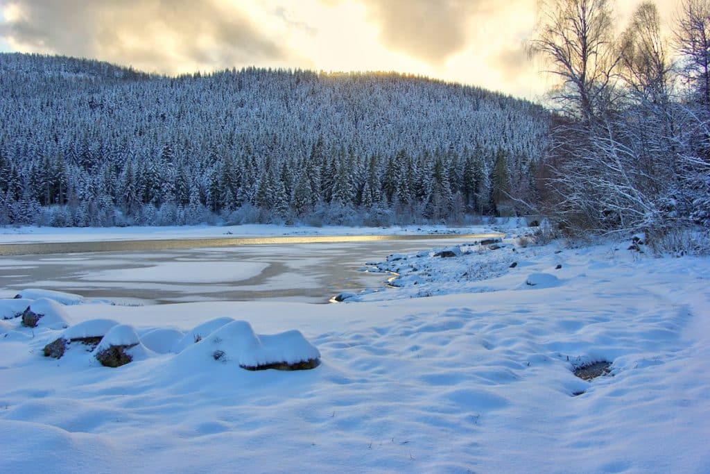 Schluchsee im Winter - Winterwanderwege im Schwarzwald