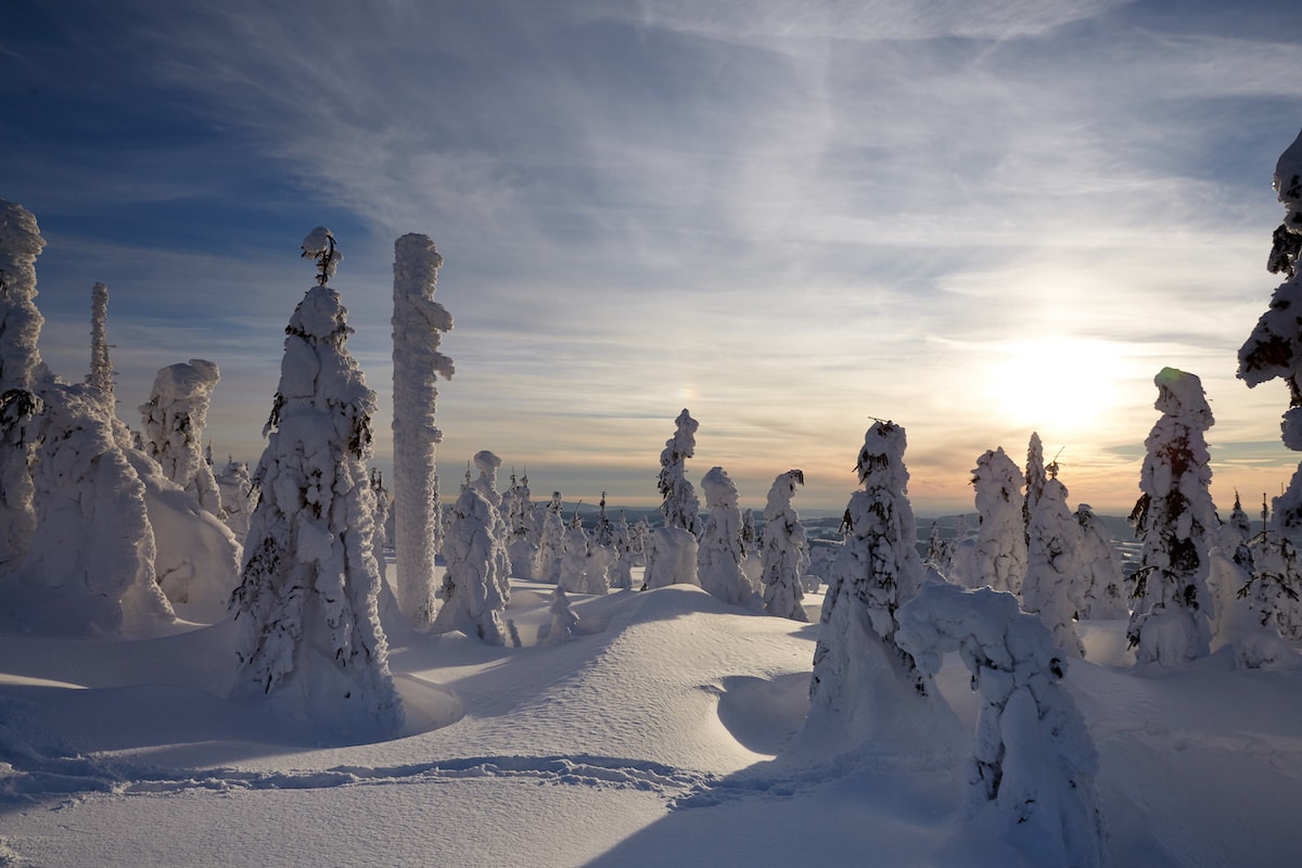 Winterlandschaft Bayerischer Wald - Winterwanderwege im Bayerischen Wald - Winterwanderung zur König-Max-Höhe