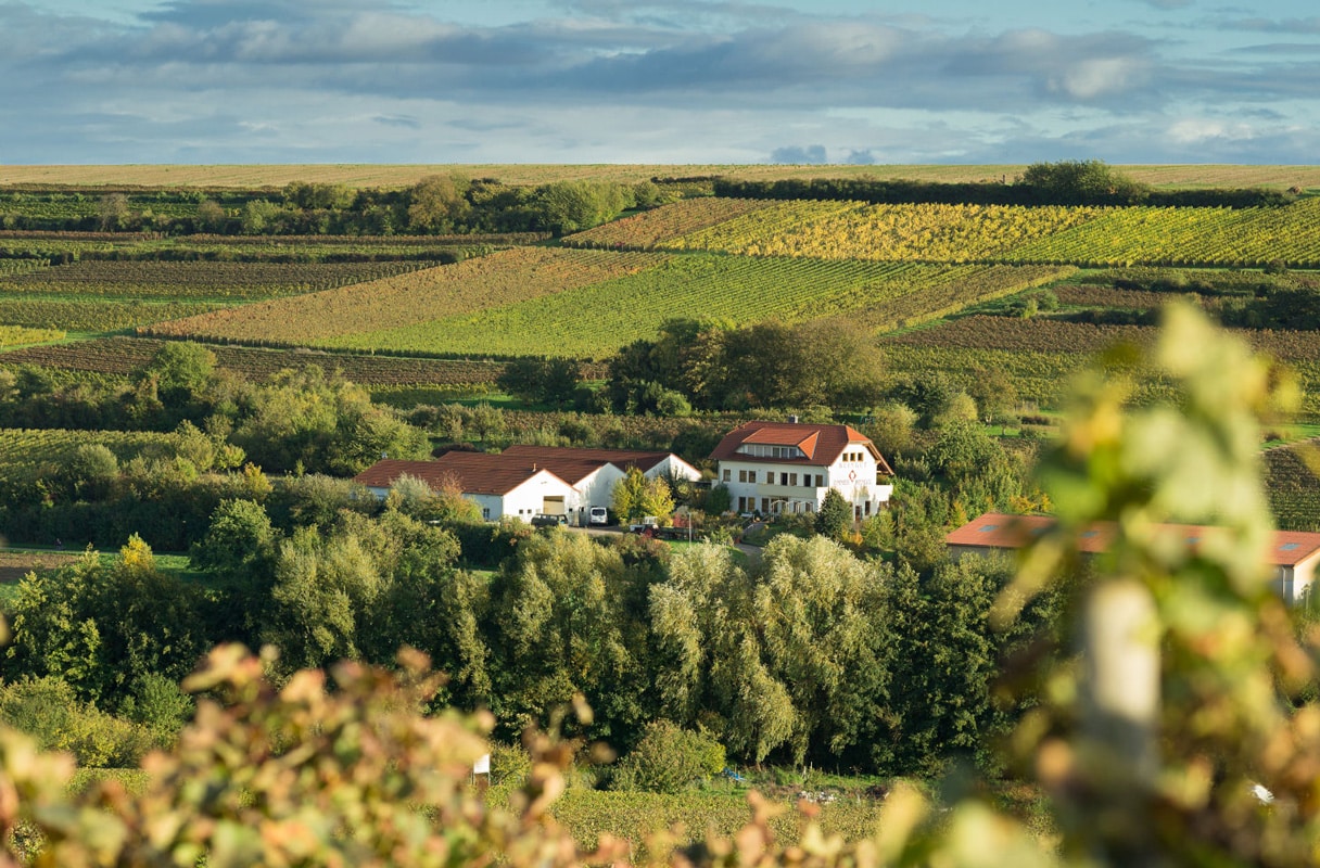 Fabian Mengel, Weingut