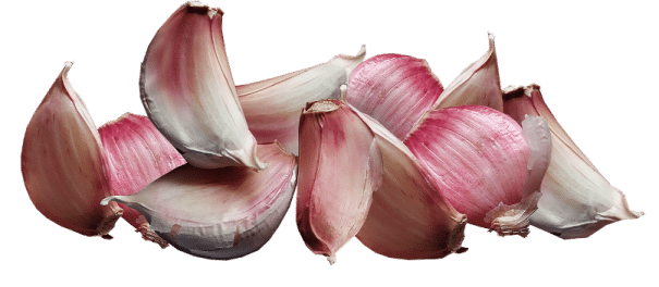 Knoblauch Knoblauchzehen ungeschält