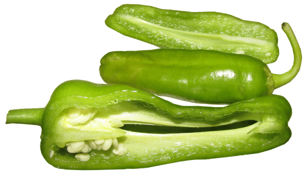 Grüne Paprika Grüne Spitzpaprika