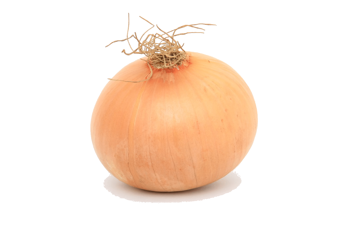 Gemüsezwiebel Gemüsezwiebel