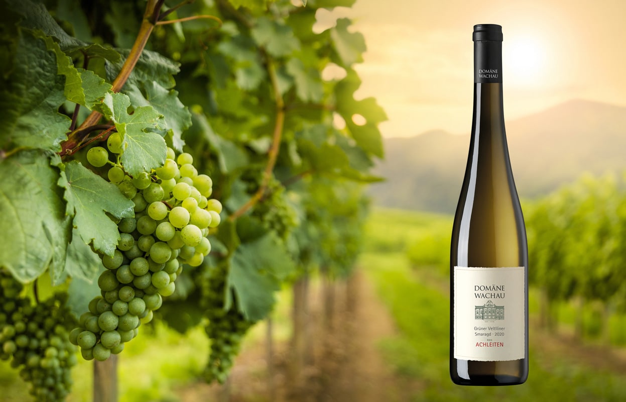 Weinberg in der Wachau