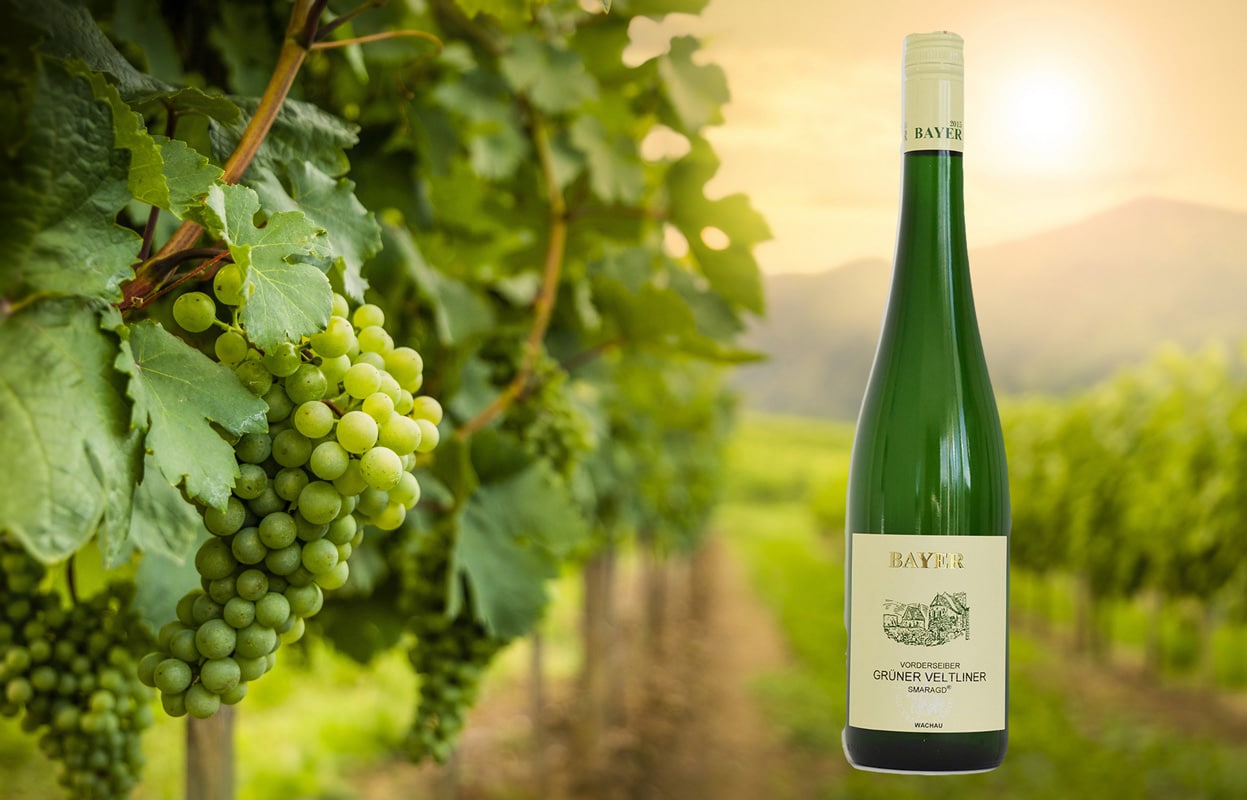 Weinberg in der Wachau